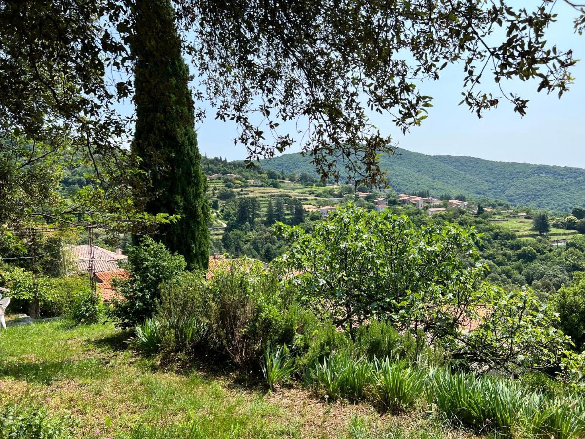 Les Gites D'Ardaillers Valleraugue Dış mekan fotoğraf